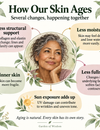 Our Aging Skin: The Reality of it All: What Is Actually Changing?