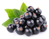 Blackcurrant Powder