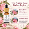 Rose Stem Cell & Peptide Serum - Floral Peptide Infusion for Renewed Skin Vitality