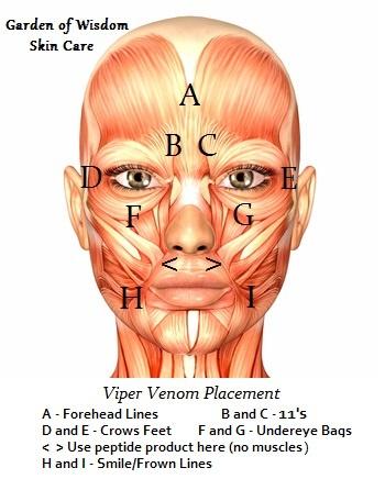 products/vipervenomplacement_1_360x_e0f0c3a4-e520-4a86-95ca-8ed3ab832efb.jpg
